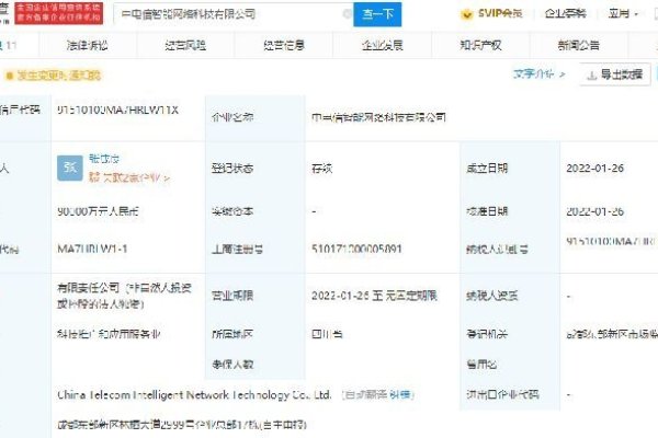 成都小型网络公司的发展与挑战-踏云行