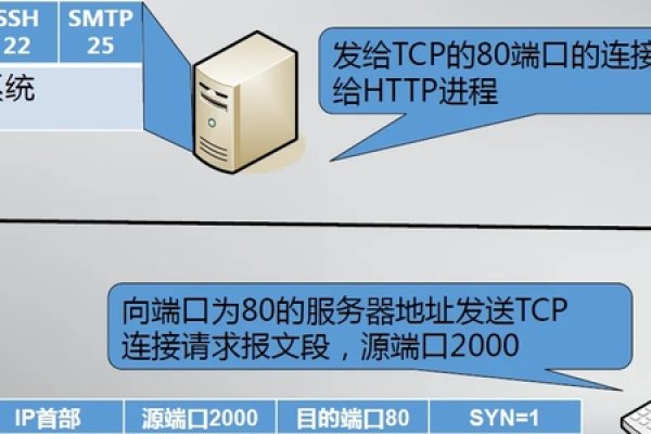 查看可用端口,理解网络连接的必经之路-踏云行