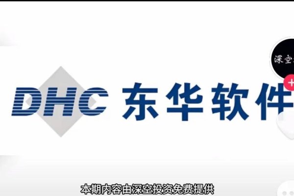 东华软件,是否为外包公司?-踏云行