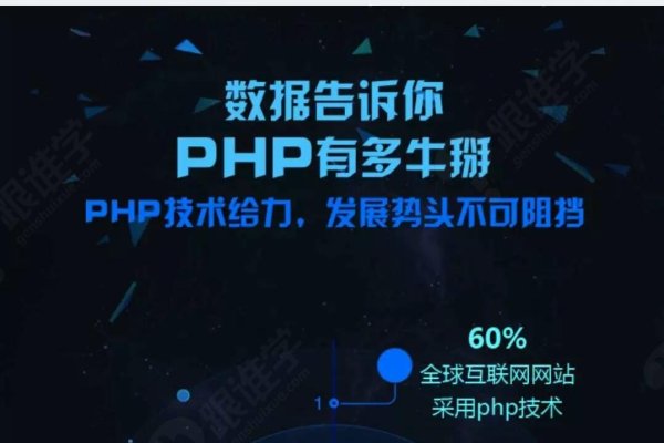 电脑程序开发培训,开启编程之旅的钥匙-踏云行