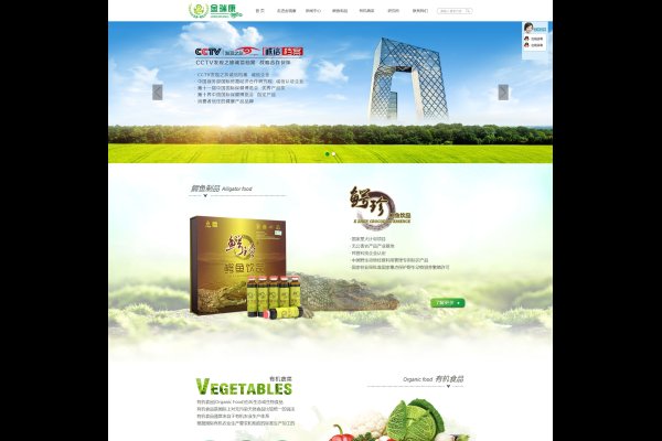 东莞建设公司网页，打造数字化建筑行业的新篇章-踏云行