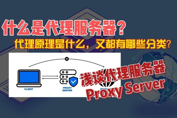电脑使用代理服务器有什么用-踏云行