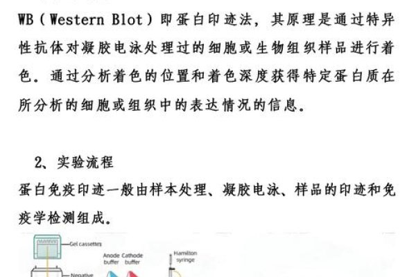 大学VB实验教程入门攻略-踏云行
