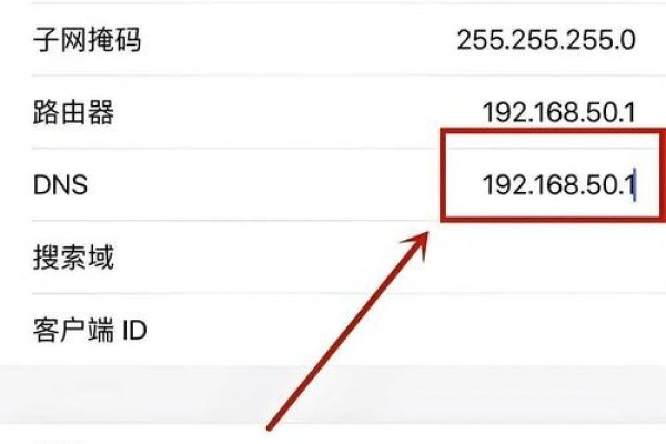 电信DNS码一般是多少-踏云行