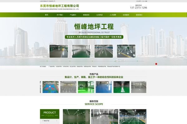 东莞专业网站建设与制作公司推荐-踏云行