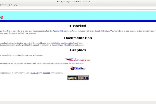 服务器配置方式之探讨，两种配置方式的优劣与应用场景-踏云行