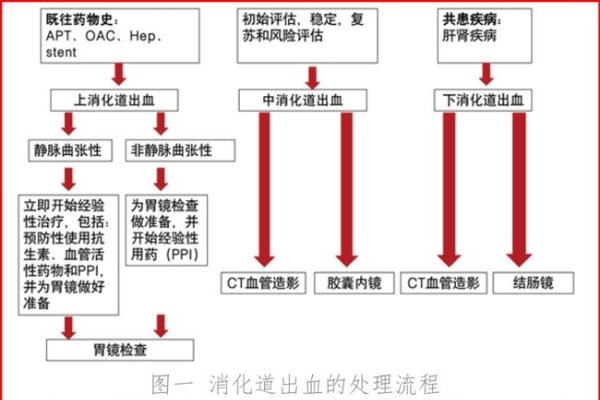 服务器租用便捷流程与选择指南-踏云行