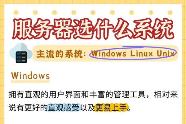 服务器托管与租用公司，服务与选择的关键因素-踏云行