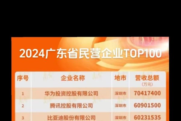 广东网站建设公司排行及猎头推荐-踏云行