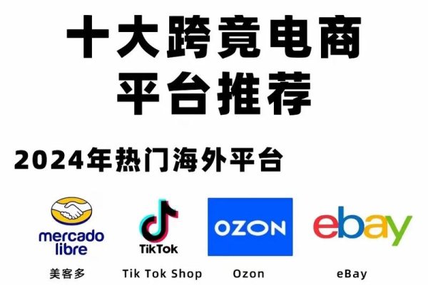国际贸易电商平台主要有，eBay、亚马逊、Alibaba International等。中国的主要电商平台包括淘宝、京东、天猫等，此外还有拼多多和网易严选等也是正规的电商平台。-踏云行