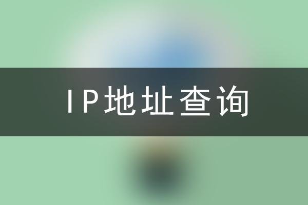 公司服务器IP地址查询-踏云行