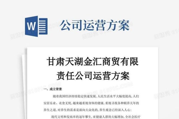 公司运营规划方案-踏云行