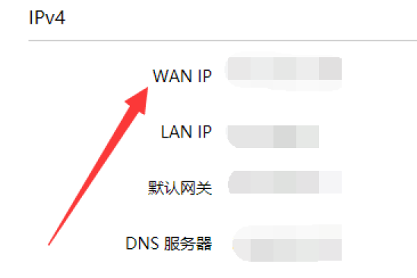 公网IP检测方法-踏云行