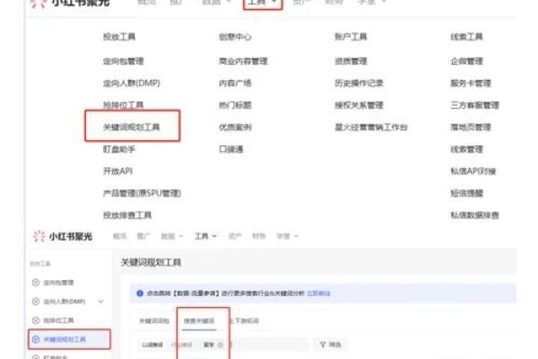 关键词获取工具使用指南-踏云行