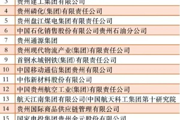 贵州科技公司排行-踏云行