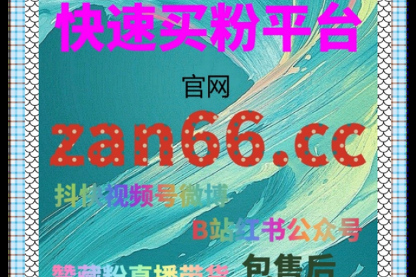 关于CC网址的详细解析-踏云行