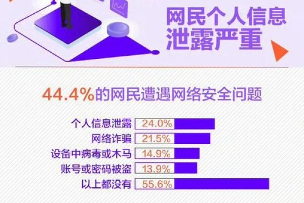 高质量网站归档，风险隐患曝光与用户信息泄露探讨-踏云行