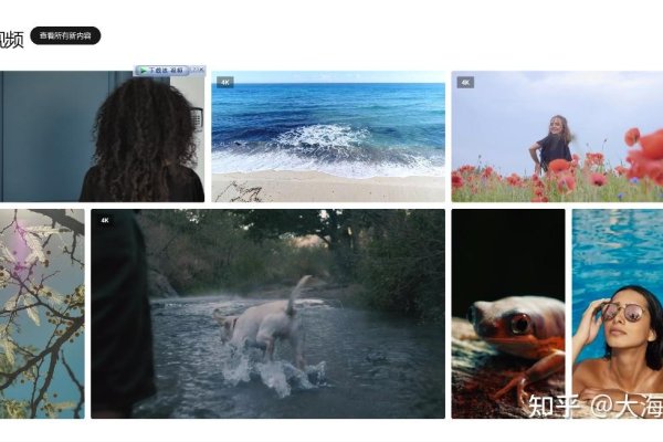 黄金网站视频制作教程全攻略，免费素材，入门指南与带货建议。-踏云行