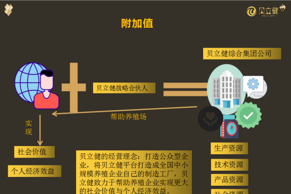 互联网创业项目详细说明-踏云行