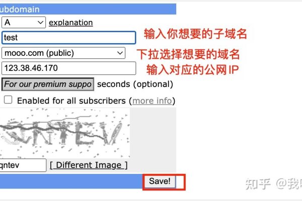 海外猫咪域名注册及使用指南-踏云行