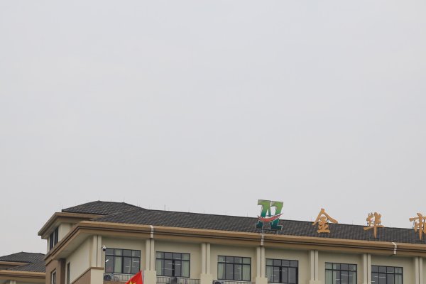 金华企业做网站费用概述-踏云行