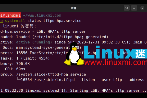 开启TFTP服务器指南，步骤与命令-踏云行