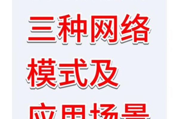美国虚拟主机哪个好用?全面解析各种选择-踏云行
