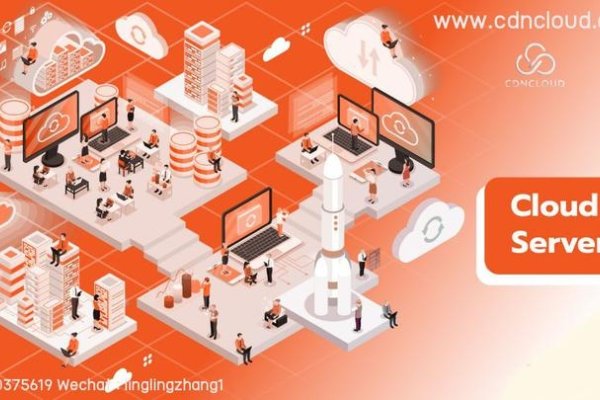 美国云服务器租用硬件与虚拟化-踏云行