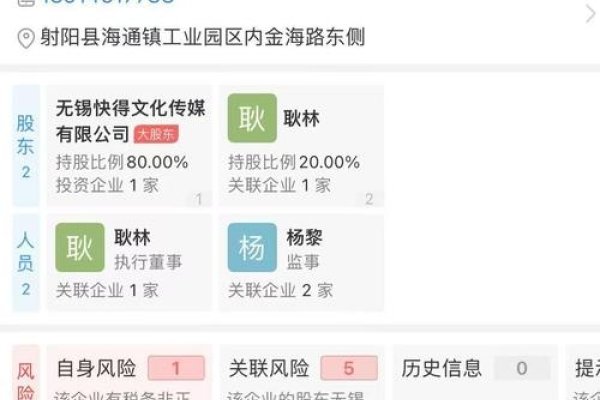 企查查VIP服务，查询企业信息的高级功能与服务体验提升途径解析。-踏云行