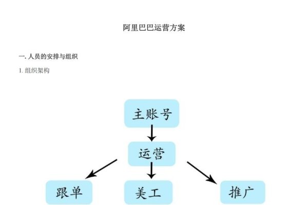 全面解析,网站运营手册概览-踏云行