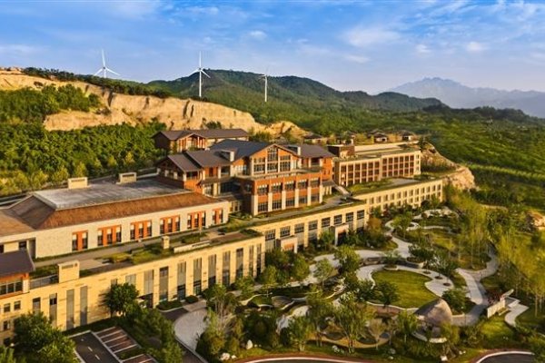 青岛专门做网站的公司概览-踏云行