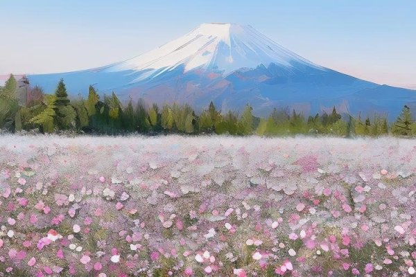 日本樱花与VPSHD,一场视觉盛宴的完美结合-踏云行