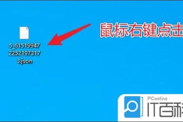 如何打开JSON格式文件?-踏云行