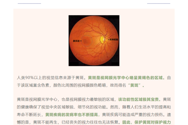 如何看网站诊断时间-踏云行