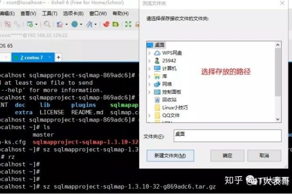如何使用Web服务器下载文件-踏云行