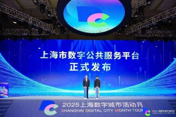 上海互联网专线公司,引领数字化转型的先锋力量-踏云行