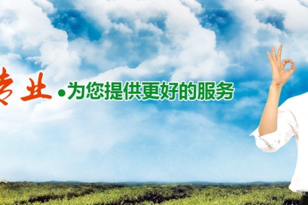 上海网站建设诚信服务，嘉挚网络科技助力城市发展与廉政建设-踏云行