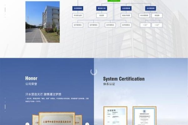上海助腾科技，优质网站建设与服务领先公司-踏云行