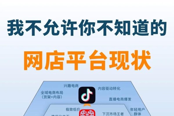 社交电商软件的崛起与影响-踏云行