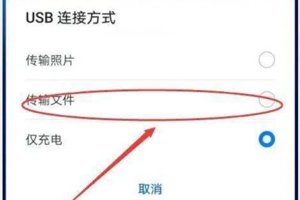 手机如何连接并操作VPS软件？-踏云行