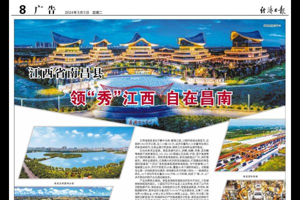 石家庄网站建设技术，引领城市数字化新篇章-踏云行