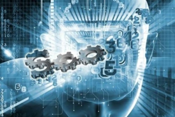 石家庄专业搜索引擎优化企业介绍-踏云行