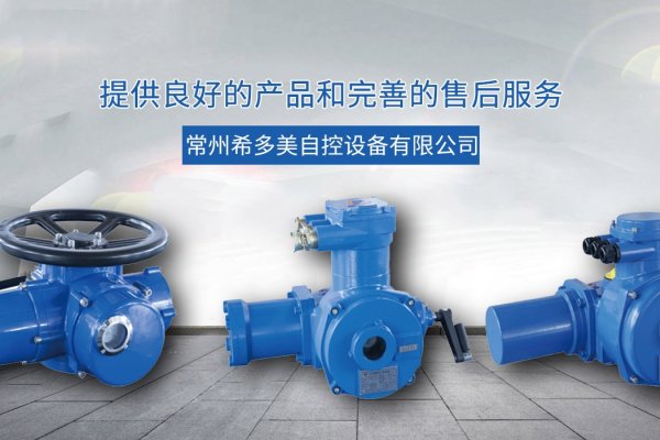 深入了解AQAQ6域名查询官网-踏云行