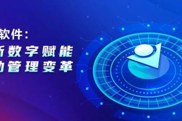 四川安卓软件开发的崛起与创新之路-踏云行