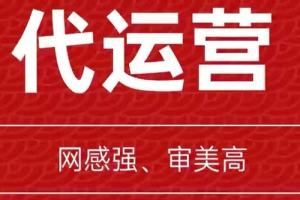深圳小红书代运营，引领品牌新风尚-踏云行