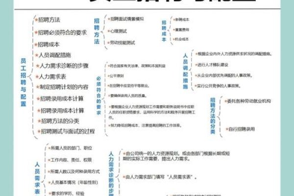 四川SEO专员招聘与职责概览，薪资、发展及学习资源-踏云行