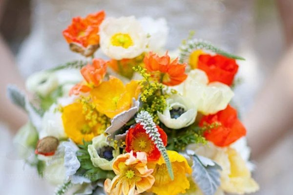 通过网站域名绽放的花朵-踏云行