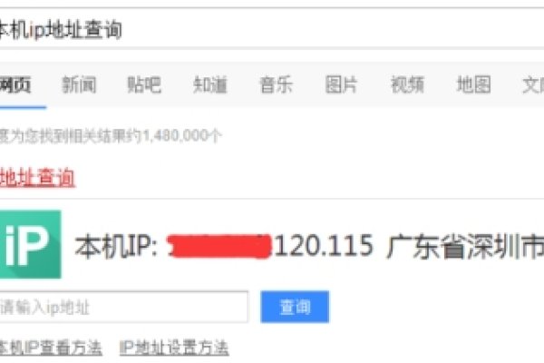 通过网站查询公网IP-踏云行