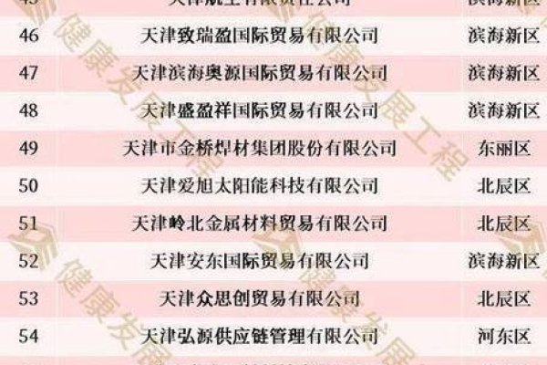 天津百度优化公司排行榜，探寻最佳合作伙伴-踏云行
