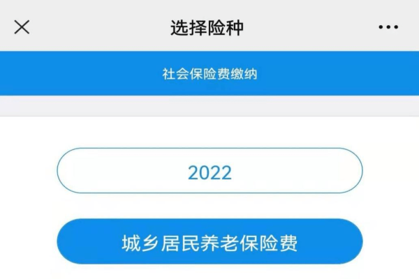 万网域名过户流程，操作指南与注意事项-踏云行